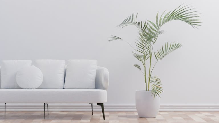 Modern minimalist living room with palm plant and white sofa enhancing comfort.