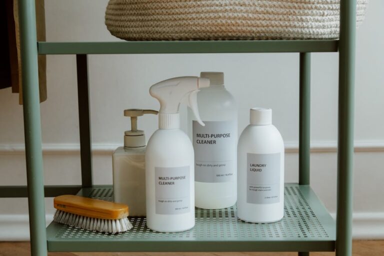 The Hidden Cost of Cleaning Your Own Home