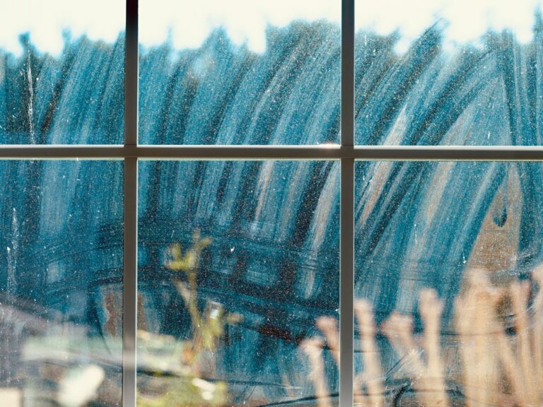 Streak Free Windows — Green Koala Cleaning