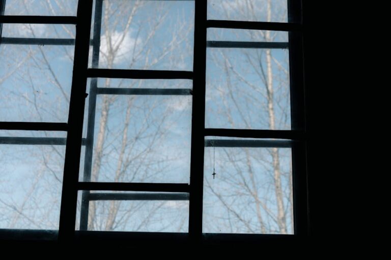 Best Times of Year to Clean Your Windows